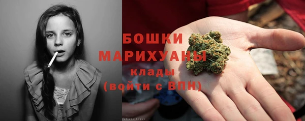 дурь Бородино