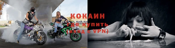 дурь Бородино