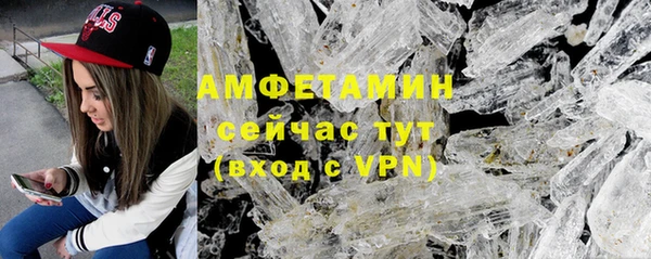 дурь Бородино