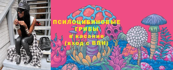 дурь Бородино