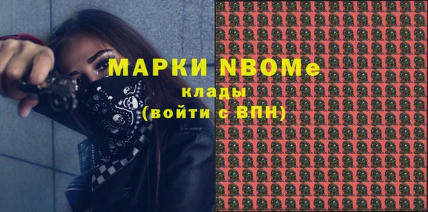 дурь Бородино